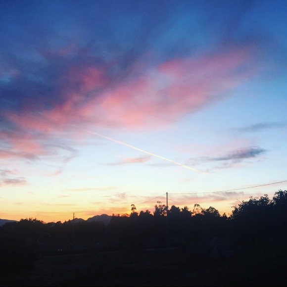 Meet your Posher, Lissette - Picture 1 of 1